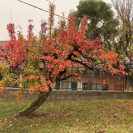 Al Vecchio Pero, Con Ampio Giardino Privato Villa La Morra Eksteriør billede